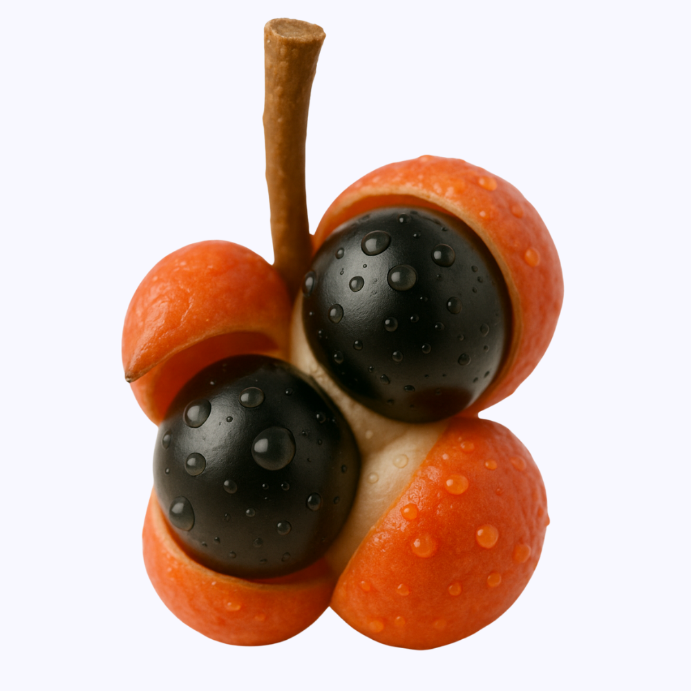 ENERGY GUMMIES